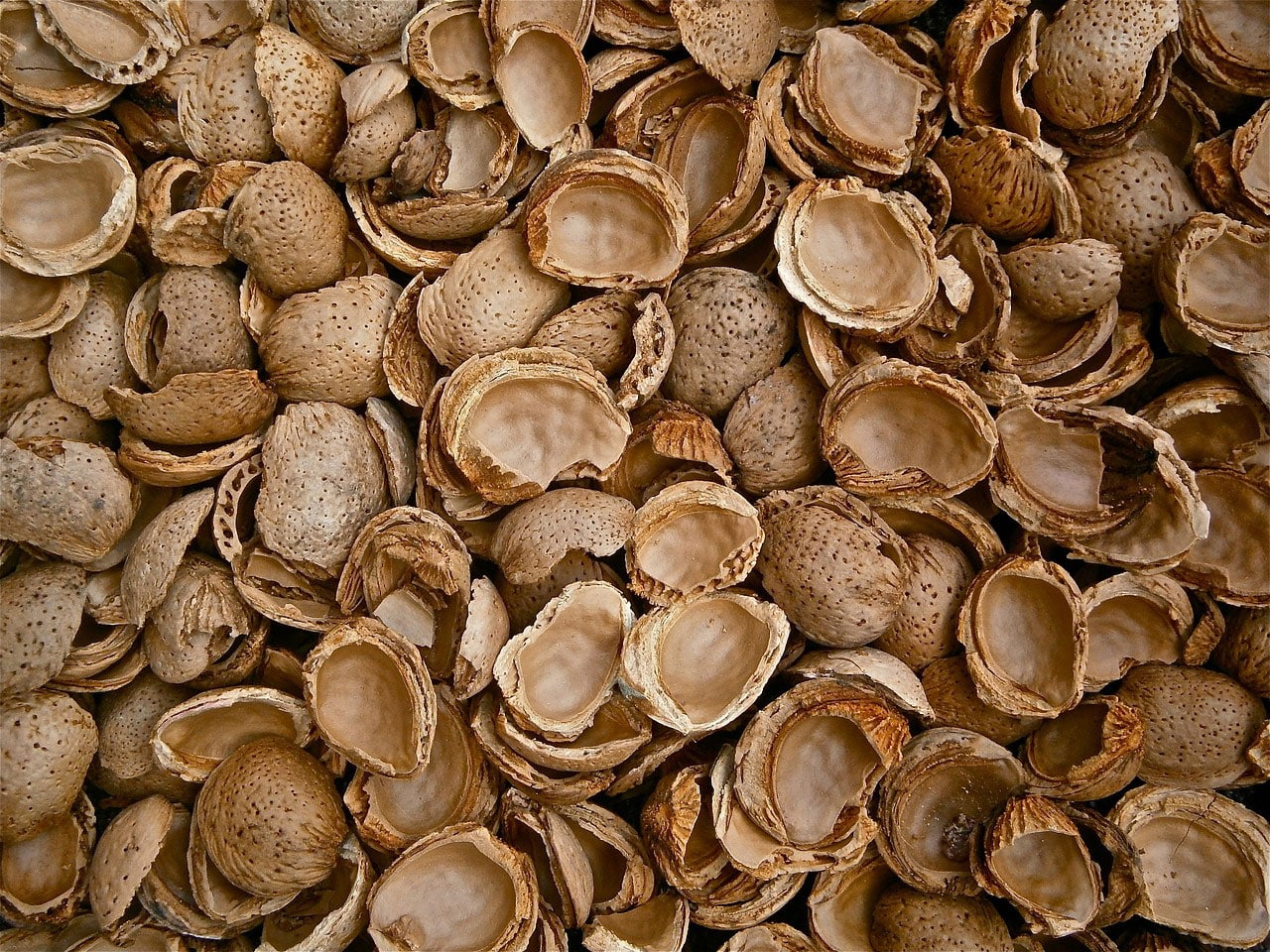 almonds-183411_1280-min