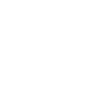 ico-01-blanco