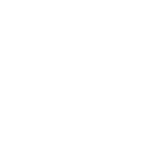 ico-02-blanco
